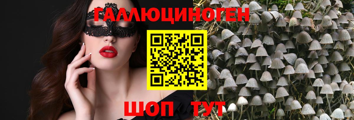 Галлюциногенные грибы Cubensis Саров