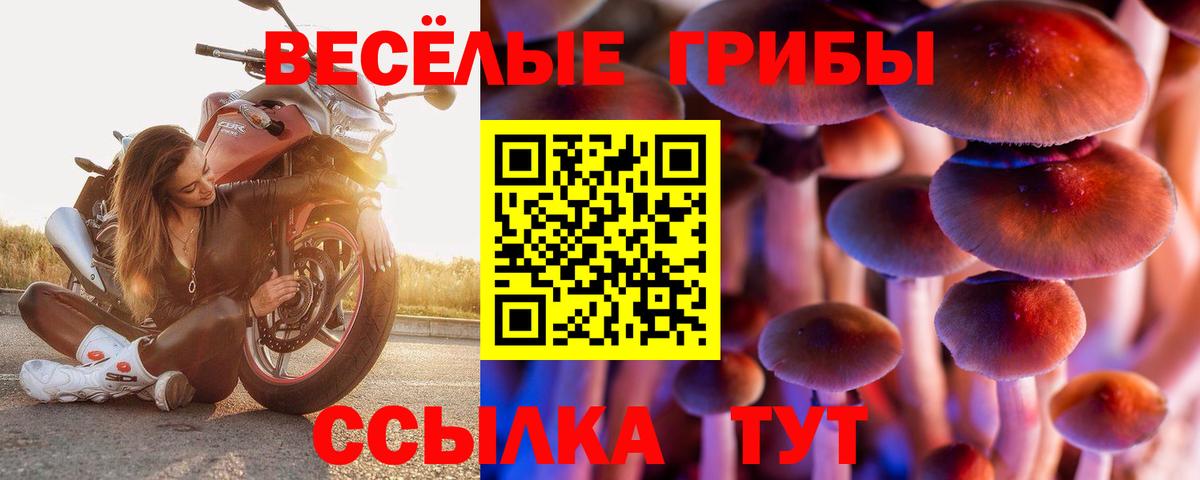 Галлюциногенные грибы Cubensis  Вход с VPN  Саров 